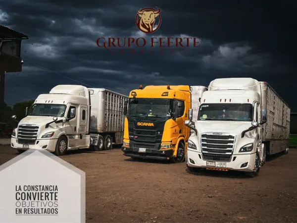 Camión de transporte de ganado de alta tecnología