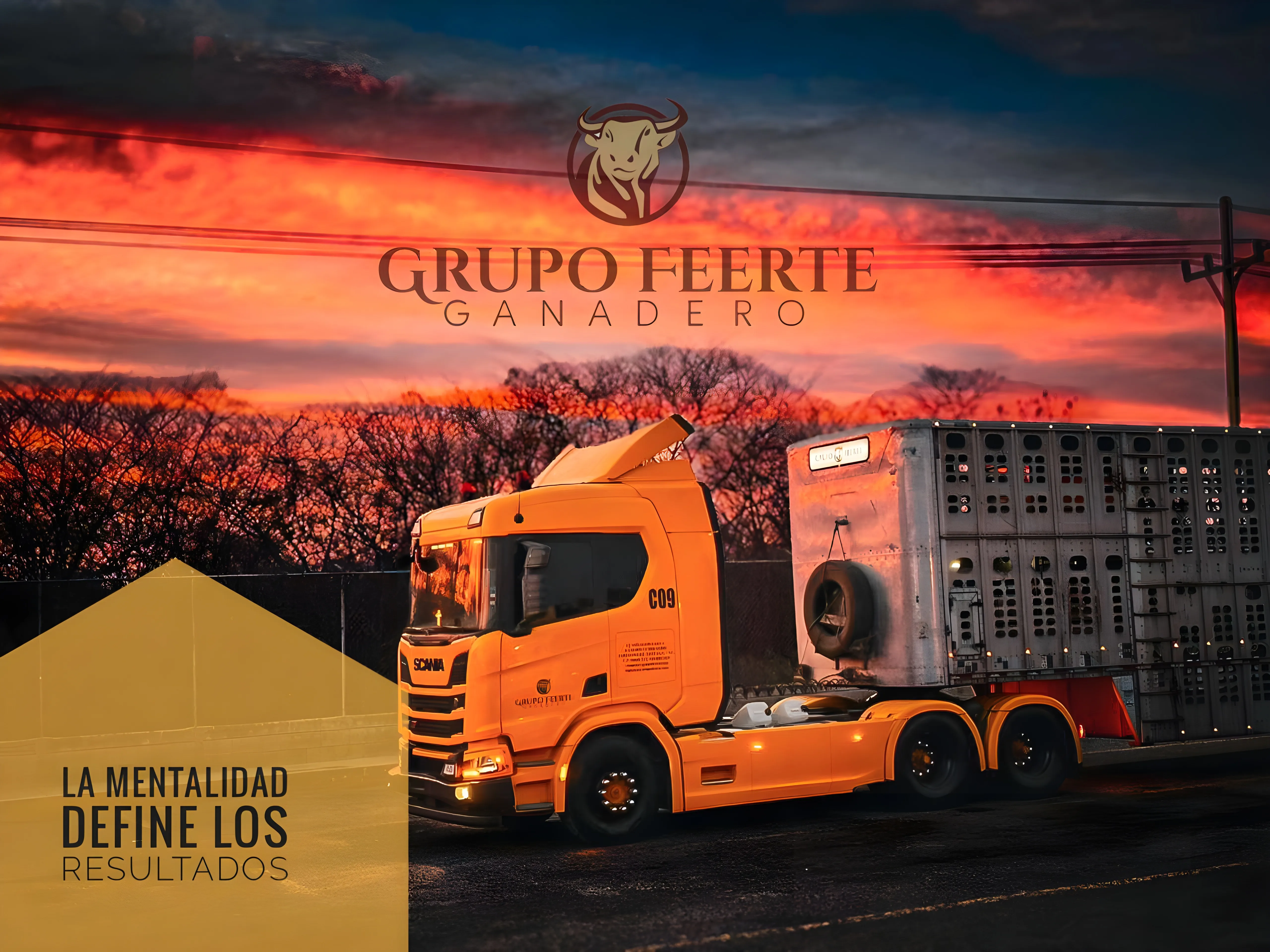 Compra y venta de ganado en pie — Grupo Ganadero Feerte, Aguascalientes México